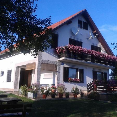 Guest House Adrijana Selište Drežničko Exterior foto