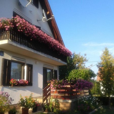 Guest House Adrijana Selište Drežničko Exterior foto