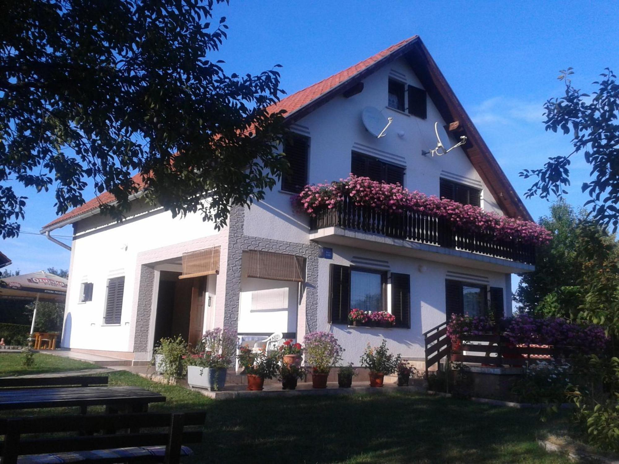 Guest House Adrijana Selište Drežničko Exterior foto