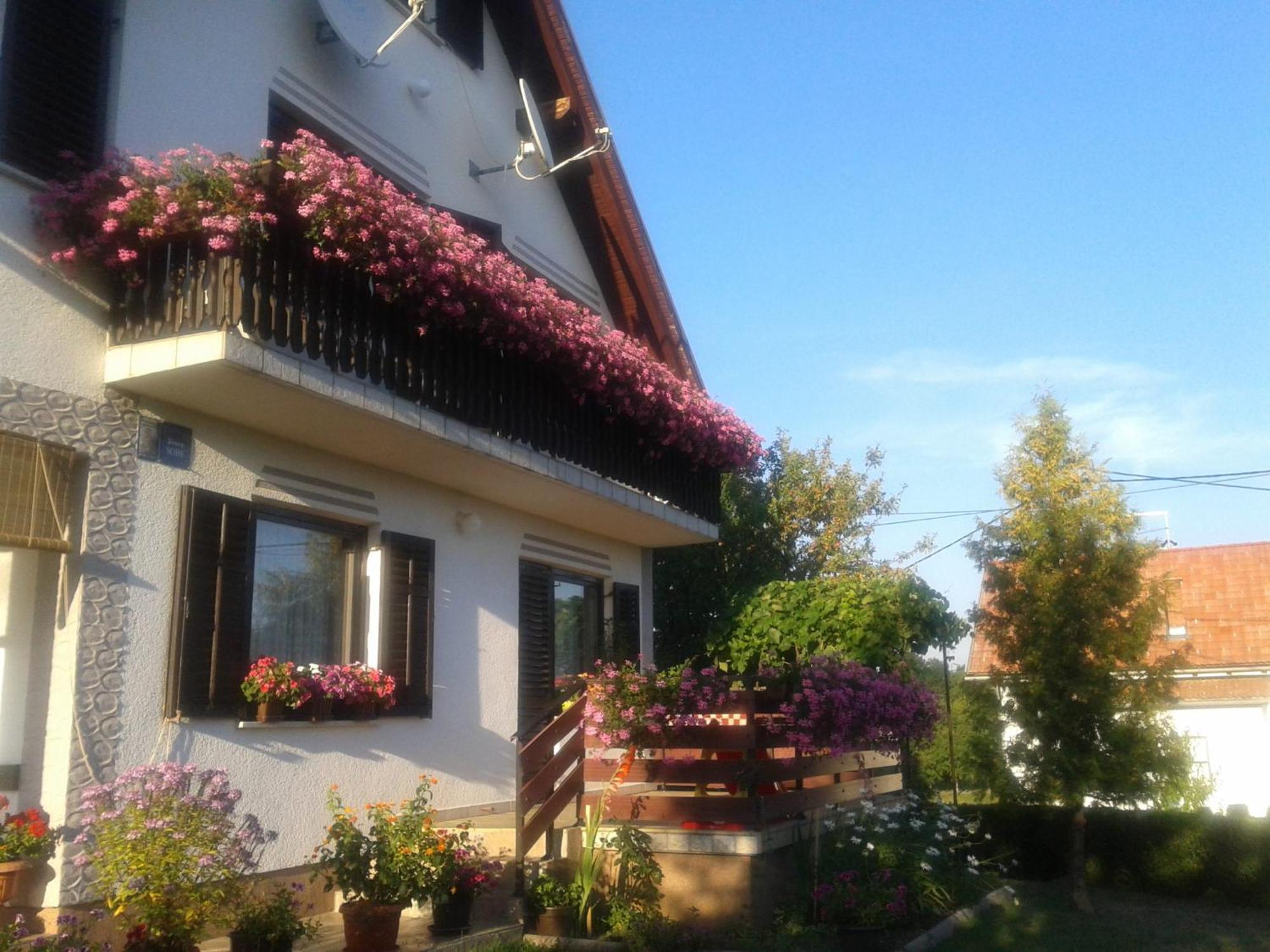 Guest House Adrijana Selište Drežničko Exterior foto