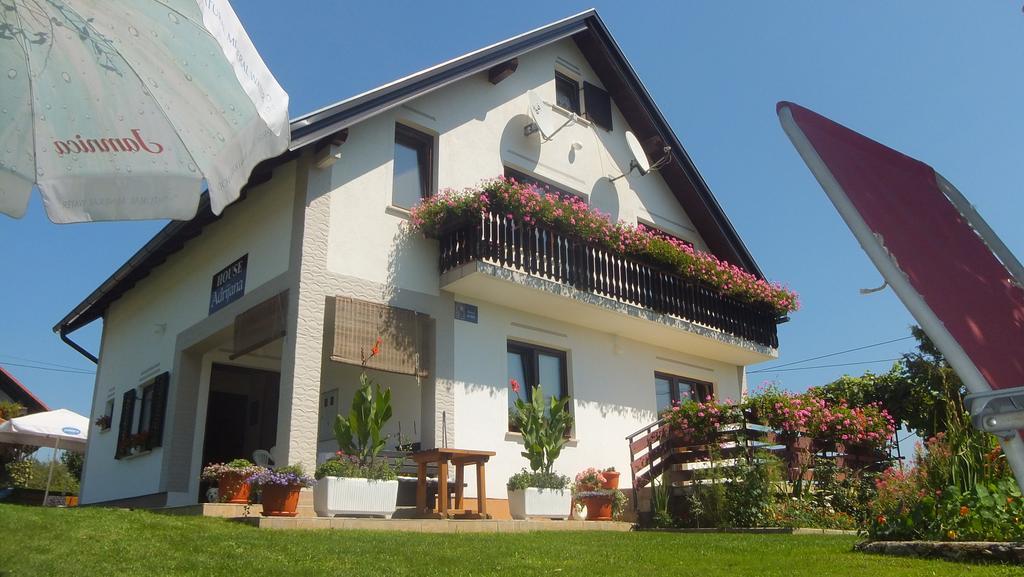 Guest House Adrijana Selište Drežničko Exterior foto
