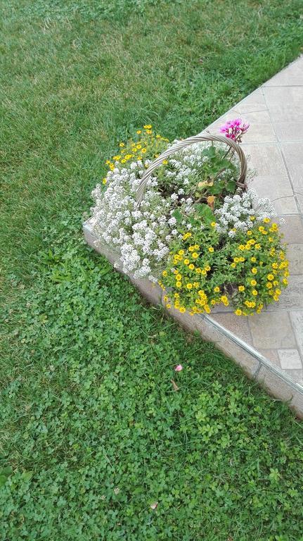 Guest House Adrijana Selište Drežničko Exterior foto