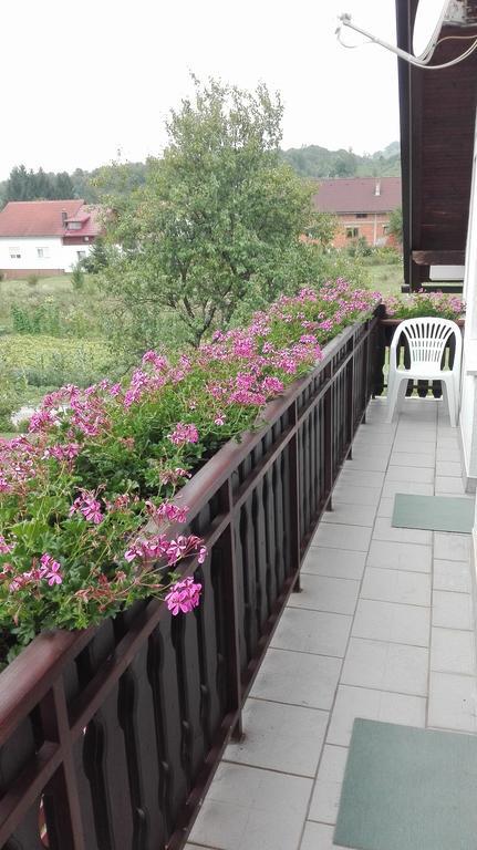 Guest House Adrijana Selište Drežničko Exterior foto