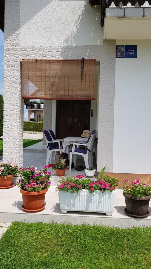 Guest House Adrijana Selište Drežničko Exterior foto